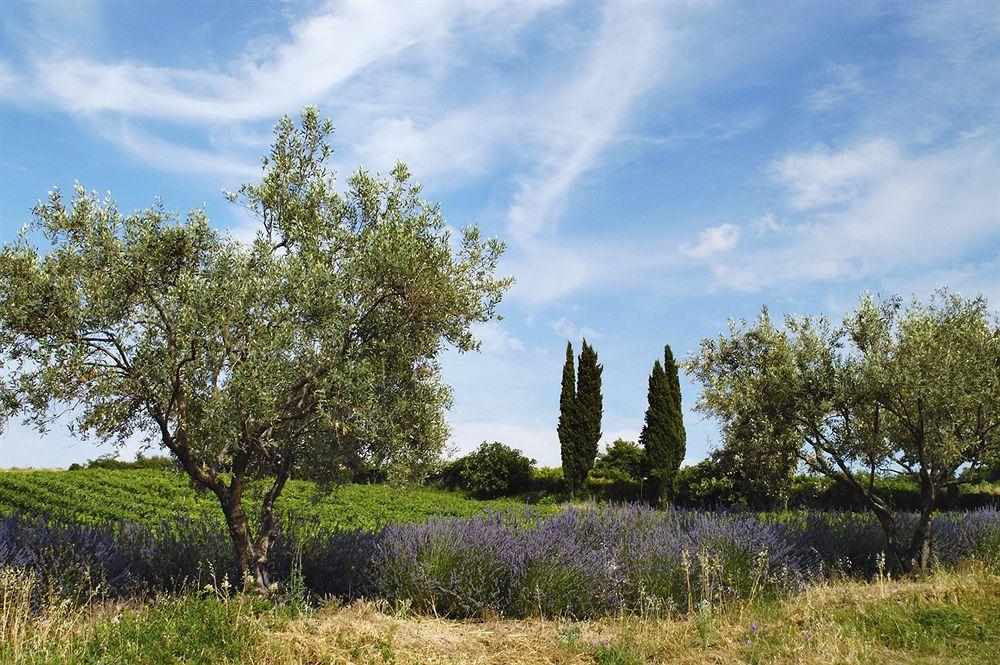 Hotel Les Jardins De Sainte-Maxime Kültér fotó