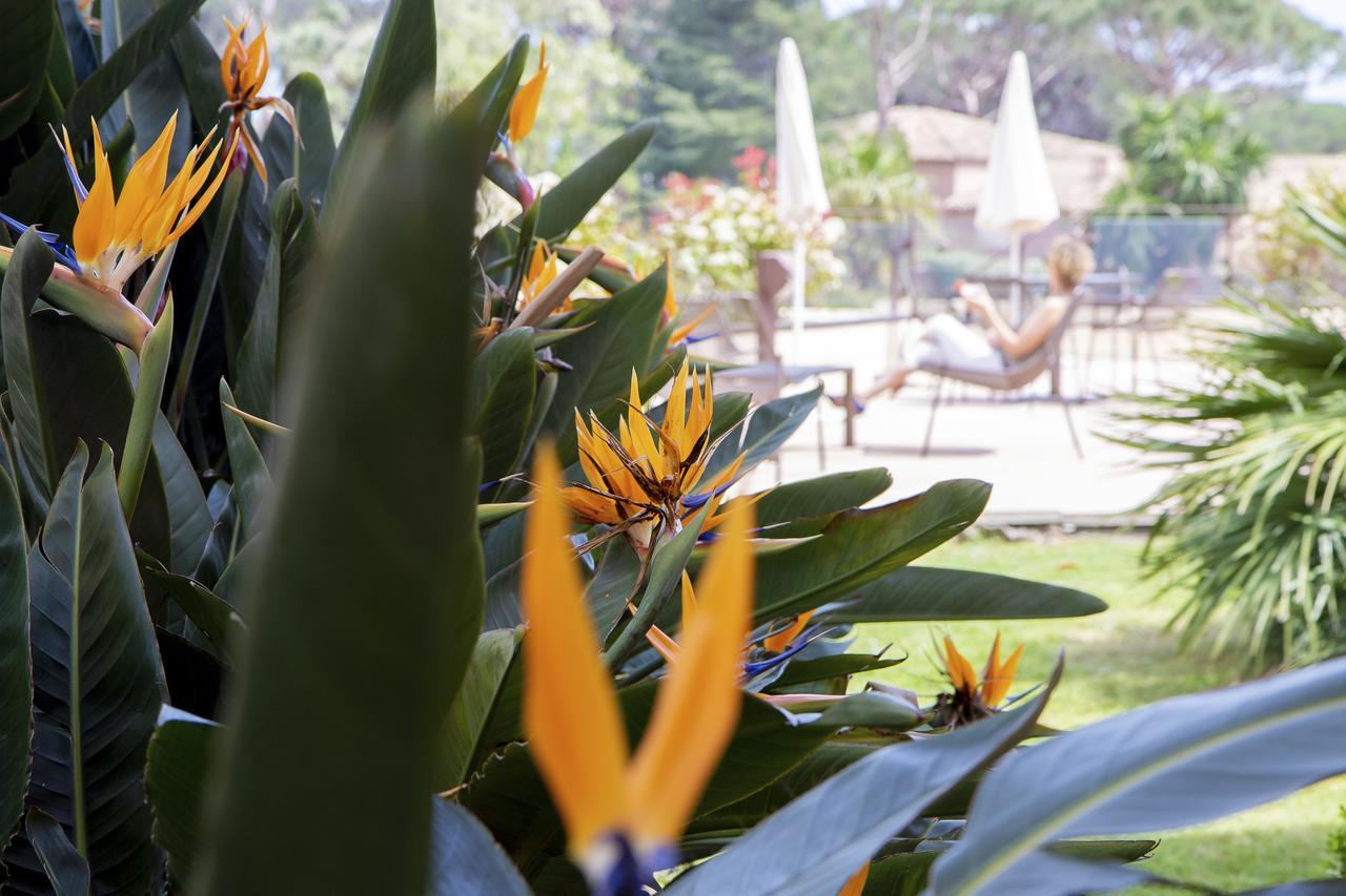 Hotel Les Jardins De Sainte-Maxime Kültér fotó